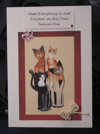 Cats Cats Cats 2 Card Sheet by KiJu KiJu