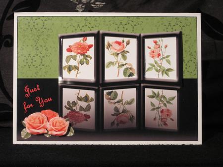 Tryptic Roses by KiJu KiJu