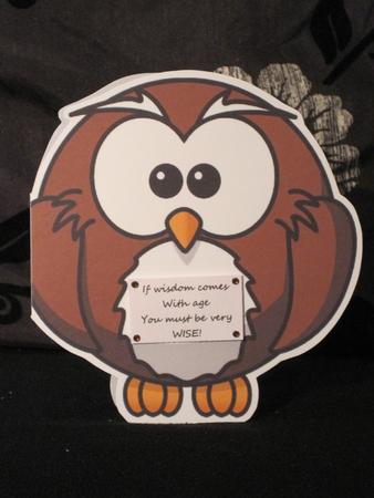 Mr Owl by KiJu KiJu