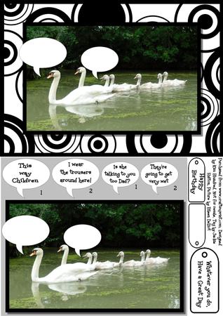 Mother Swan by KiJu KiJu