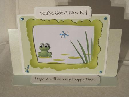 Frog Step by Step by KiJu KiJu