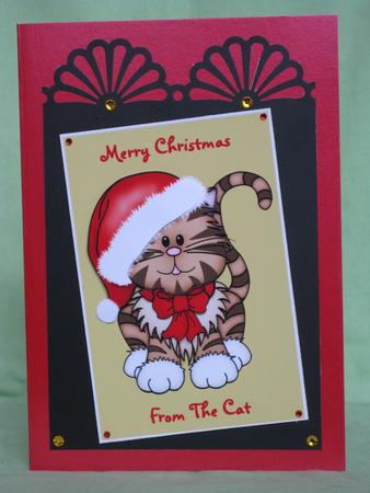 Christmas Kitten - from the Cat by KiJu KiJu