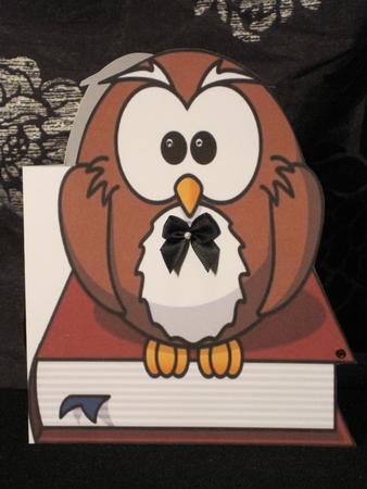 Owlbook Shaped Card by KiJu KiJu