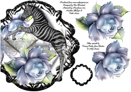 5 Beautiful Zebra Foals by KiJu KiJu