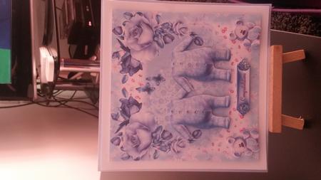 Gorgeous Twins Mini Kit with Decoupage by Kirsty Davison