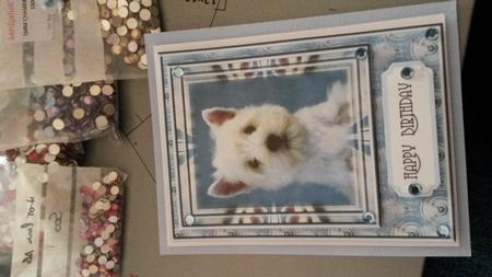 White Dog Against Blue by Kirsty Davison