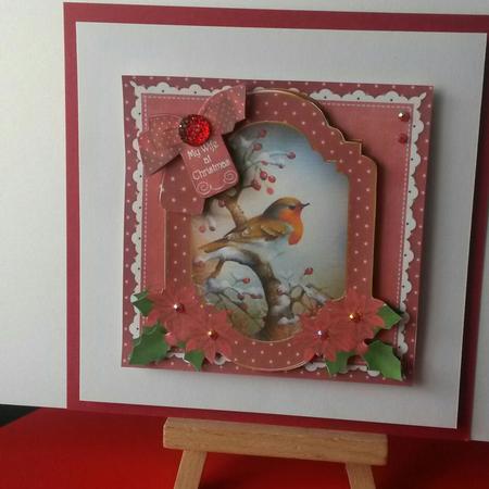 Red Robin My Wife 6in Christmas Step by Step by Kirsty Davison