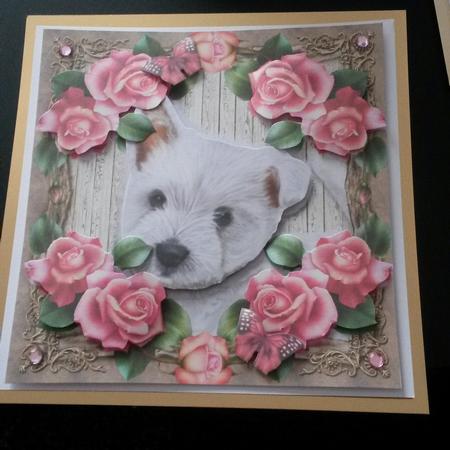 Westie with Pink Roses 8x8 Mini Kit by Kirsty Davison