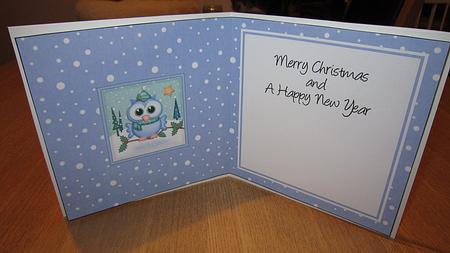Xmas Little Hoot Matching Insert Square Landscape by Kirsty Green