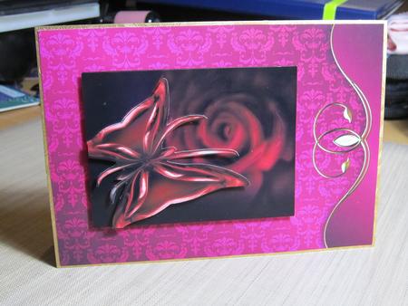 Swirl Bordered Damask in Cerise Pink by Kirsty Green