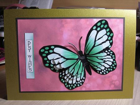 Pretty Pink Backgrounds by Kirsty Green
