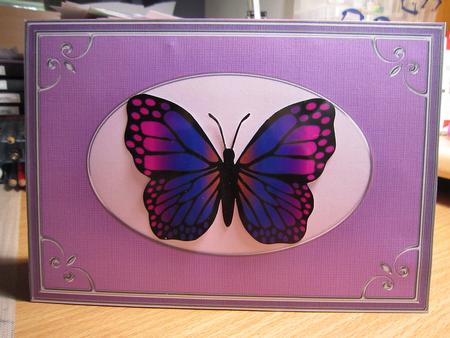 A5 'silver Metallic Frame' Card Front or Insert by Kirsty Green