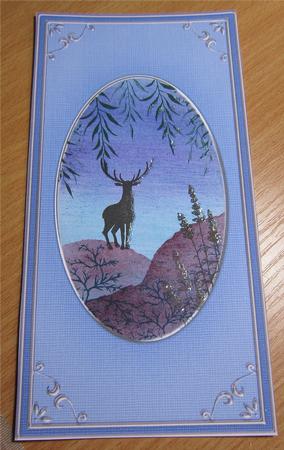 Dl 'silver Metallic Frame' Card Front or Insert by Kirsty Green