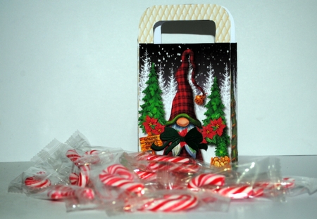 Lovely Gnomes  Poinsettia Gift Bag  by Kristina Norbat