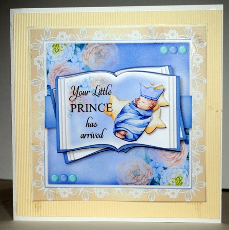 Little Prince Arrival by Kristina Norbat