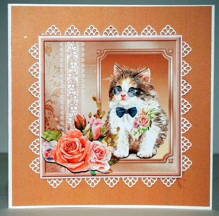 Cat and the roses 7x7 by Kristina Norbat