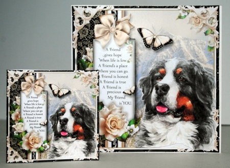 Bernese Mountain Dog by Kristina Norbat
