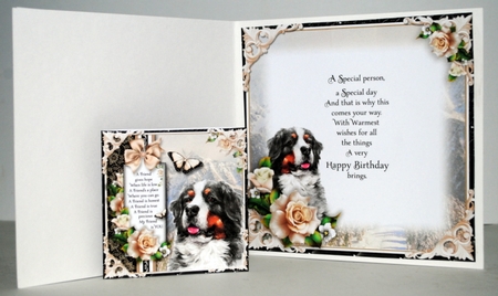 Bernese Mountain Dog by Kristina Norbat