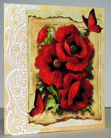 Lovely Red Poppies  by Kristina Norbat