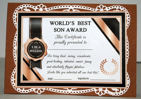 HUMOROUS FAMILY CERTIFICATES SET 1 A5 Quick Cards & Ages Bumper Kit by Kristina Norbat