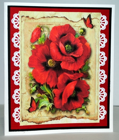 Get Well Soon Poppies Topper by Kristina Norbat