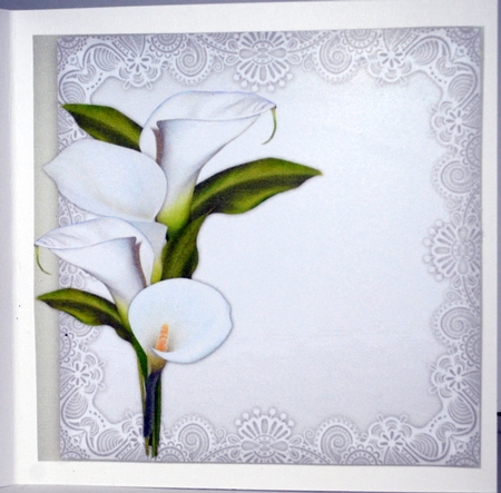 Sympathy Callas  Verse  Insert by Kristina Norbat