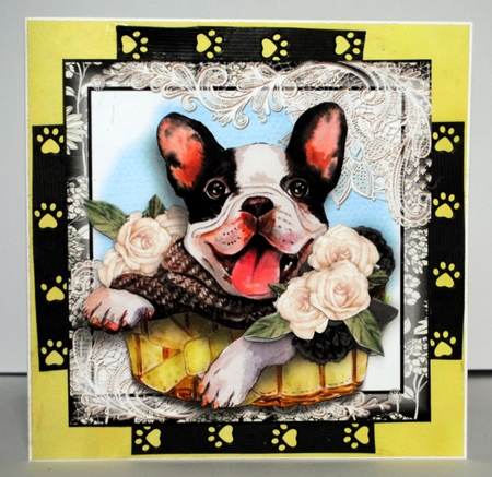 Frenchie in A Basket  by Kristina Norbat