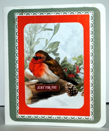 Snowy Robin by Kristina Norbat
