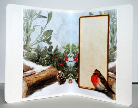 Snowy Robin by Kristina Norbat
