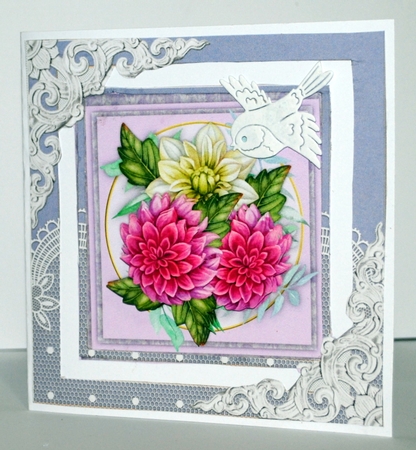 Beautiful  Lilac Chrysanthemums by Kristina Norbat