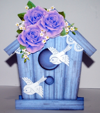 CU Wooden Birdhouses  by Kristina Norbat