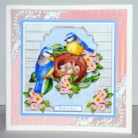 BLUE TITS NEST MINI KIT by Kristina Norbat