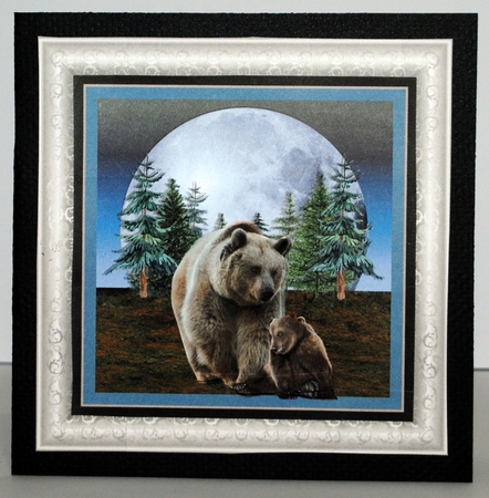 BEARS QUICK CARD by Kristina Norbat