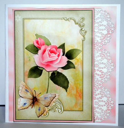 Pink rose and butterfly 5x7  by Kristina Norbat