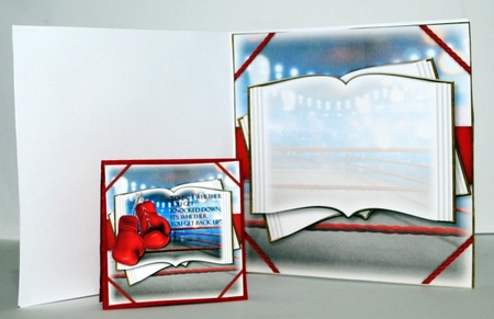 Boxing Open Book by Kristina Norbat