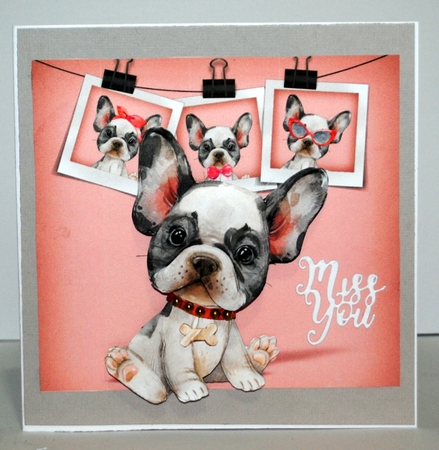 Little Frenchie by Kristina Norbat