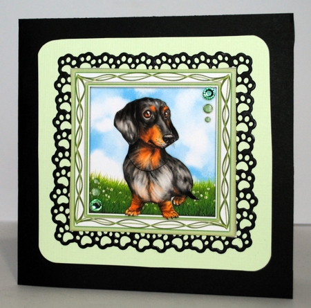 I Love My Dachshund  by Kristina Norbat