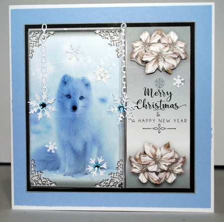 Artic Fox Wishes by Kristina Norbat