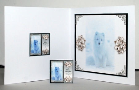 Artic Fox Wishes by Kristina Norbat