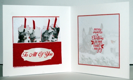 Little Donkey Mini Kit #6 by Kristina Norbat