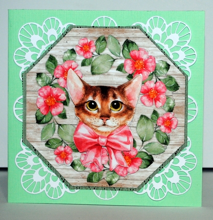 Cute Kitten Octagon Mini Kit by Kristina Norbat