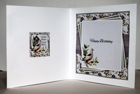 Pigeon Birthday Mini Kit by Kristina Norbat