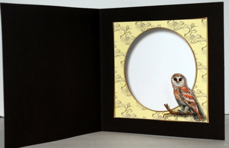 The Majestic Owl 2 by Kristina Norbat