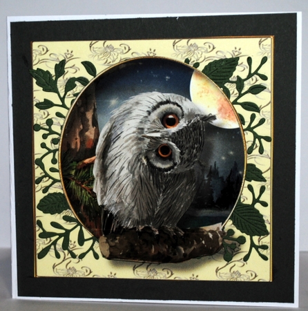 The Majestic Owl 3 by Kristina Norbat