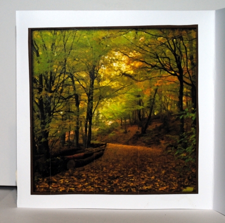 Autumn Scape Quick Card by Kristina Norbat