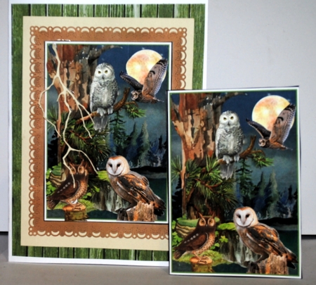 Owls Of The Forest 04 Mini Page Kit by Kristina Norbat