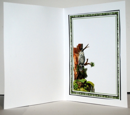 Owls Of The Forest 04 Mini Page Kit by Kristina Norbat