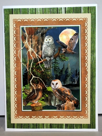 Owls Of The Forest Bumper Mini Page Kits by Kristina Norbat