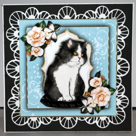 7x7 Cute Ragdoll Cat by Kristina Norbat