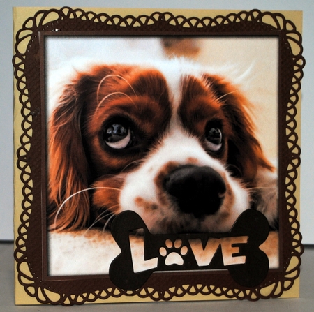 Funny Dog Quick Card 2 by Kristina Norbat